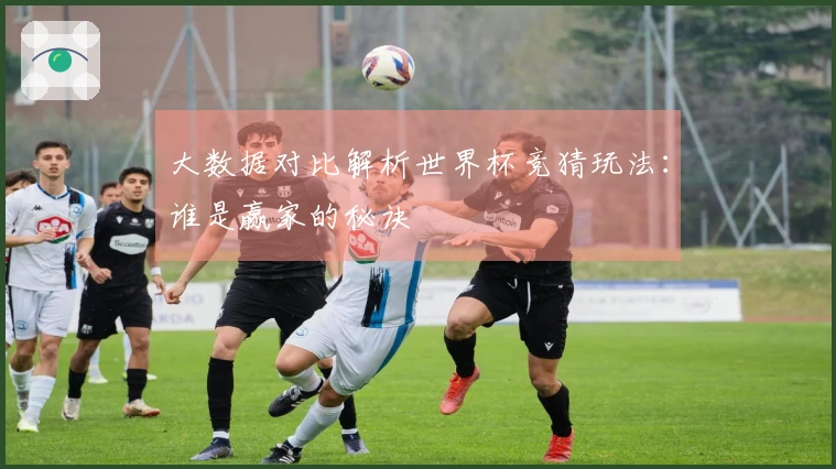 大数据对比解析世界杯竞猜玩法：谁是赢家的秘诀