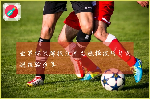 世界杯买球投注平台选择技巧与实战经验分享