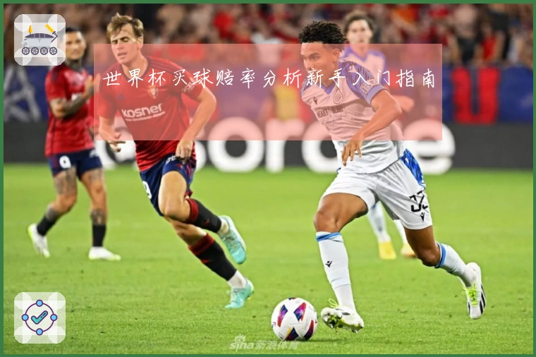 世界杯买球赔率分析新手入门指南