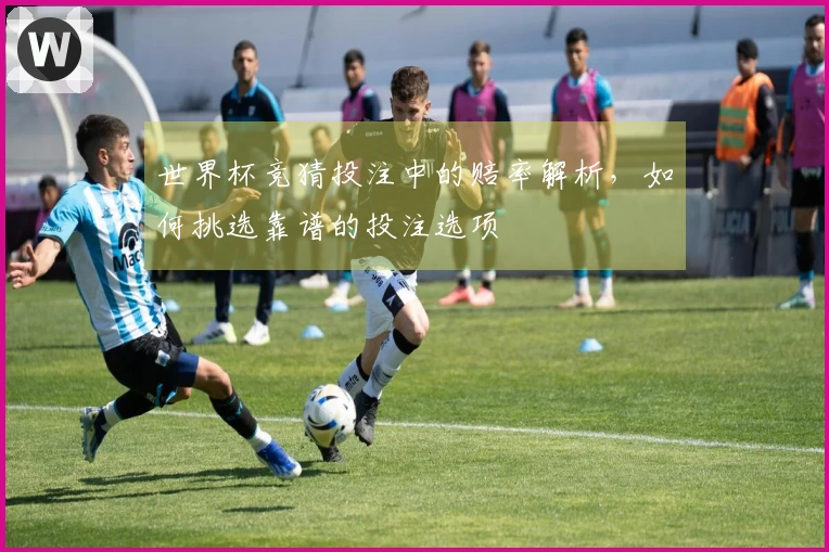 世界杯竞猜投注中的赔率解析，如何挑选靠谱的投注选项