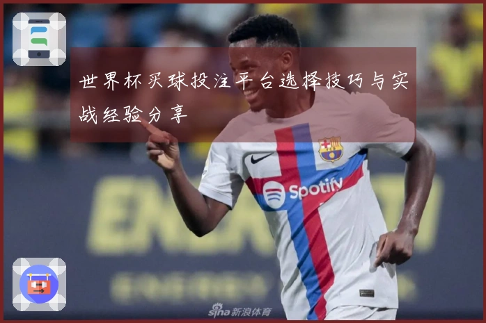 世界杯买球投注平台选择技巧与实战经验分享