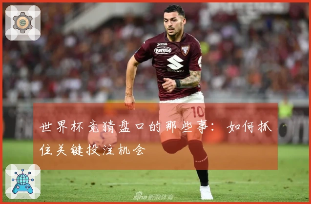 世界杯竞猜盘口的那些事：如何抓住关键投注机会