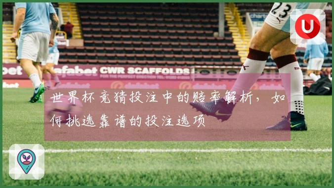 世界杯竞猜投注中的赔率解析，如何挑选靠谱的投注选项