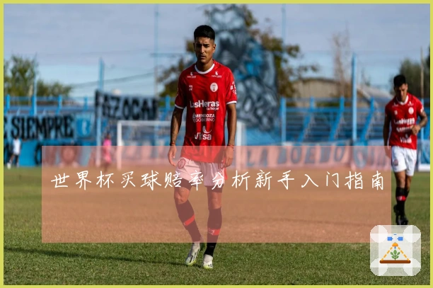 世界杯买球赔率分析新手入门指南