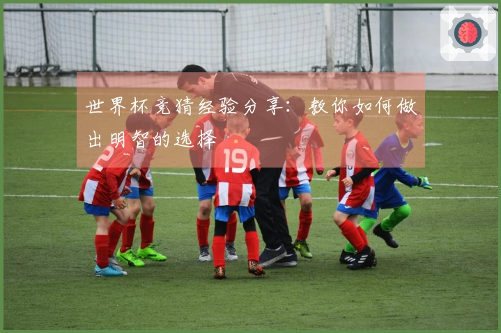 世界杯竞猜经验分享：教你如何做出明智的选择